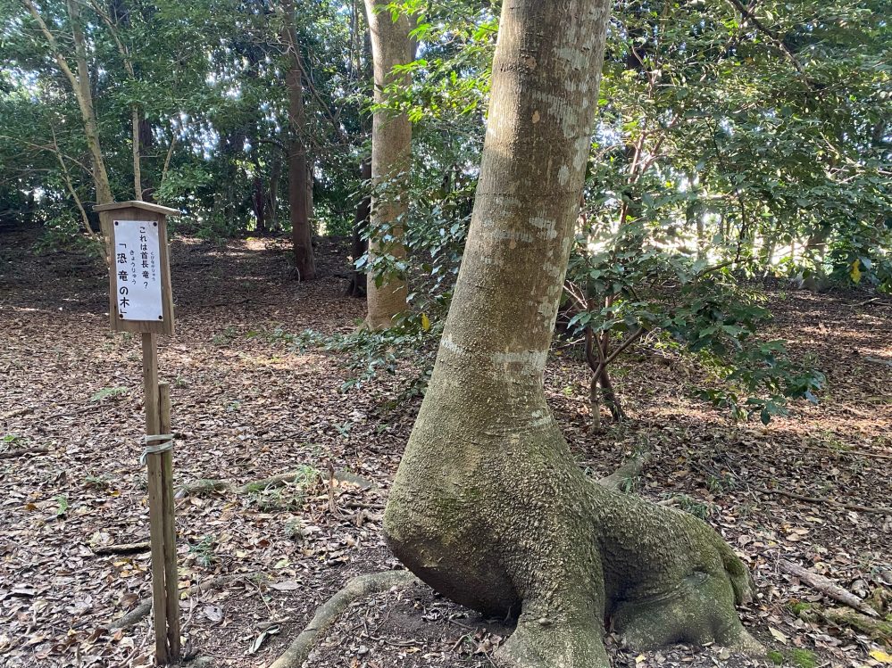 豊満神社の恐竜の木